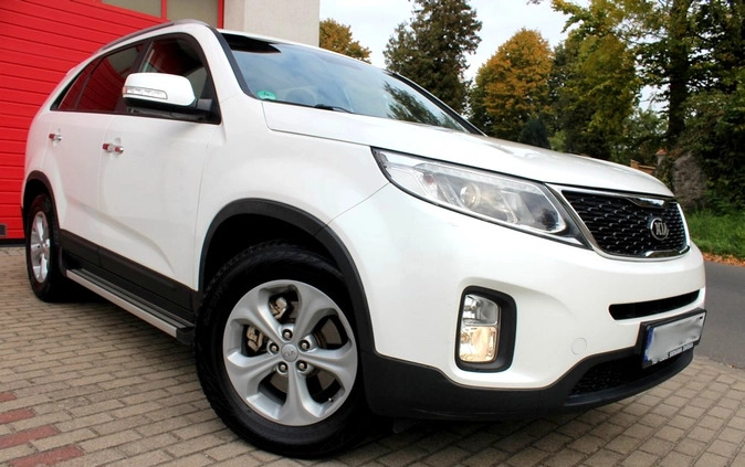 Kia Sorento cena 64900 przebieg: 173000, rok produkcji 2014 z Brusy małe 742